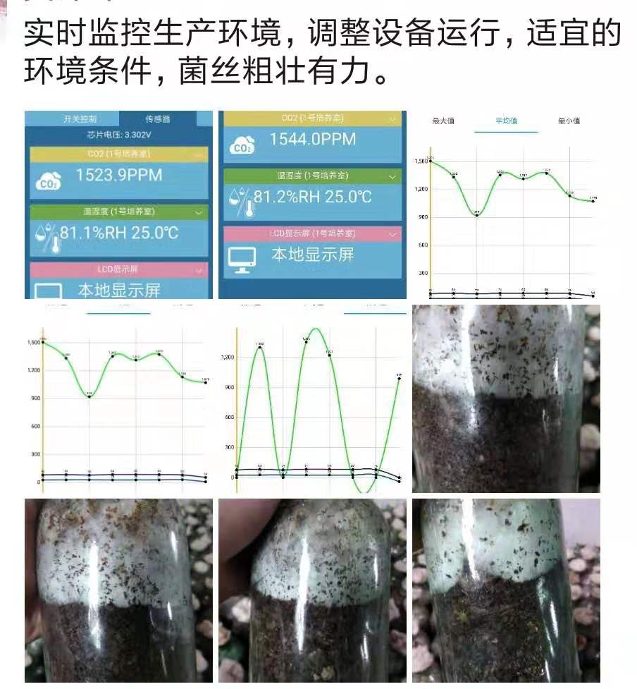 <b>奋发菌业生产种植基地菌种物</b>